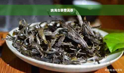 纳海古茶普洱茶