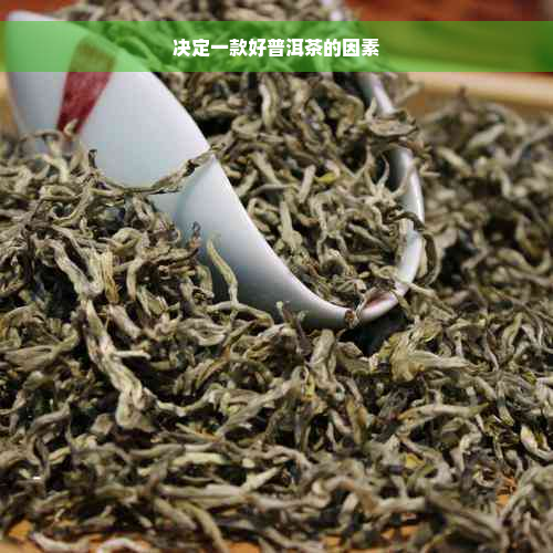 决定一款好普洱茶的因素