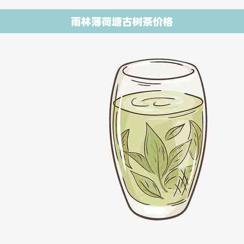 雨林薄荷塘古树茶价格