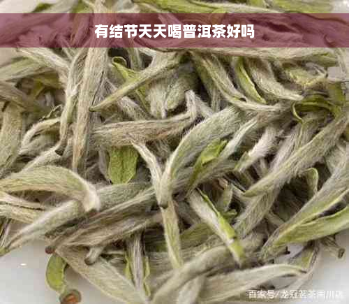 有结节天天喝普洱茶好吗