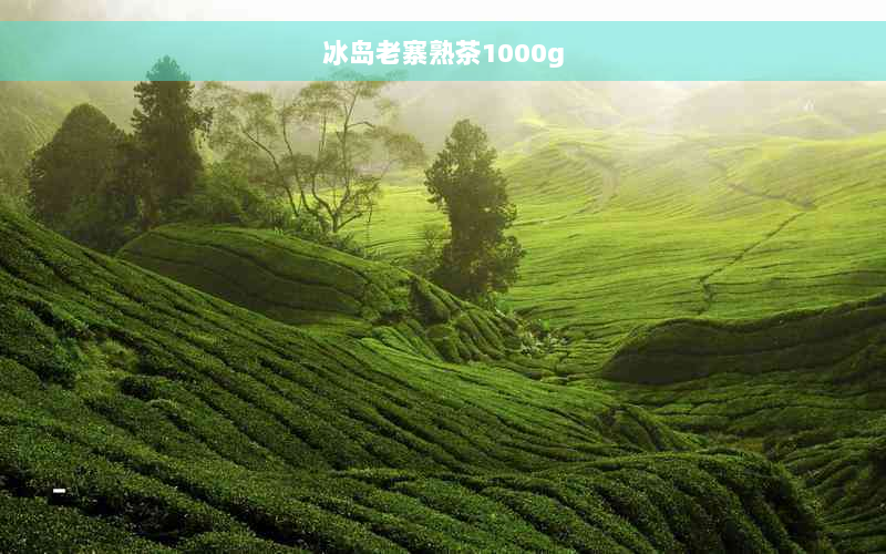 冰岛老寨熟茶1000g