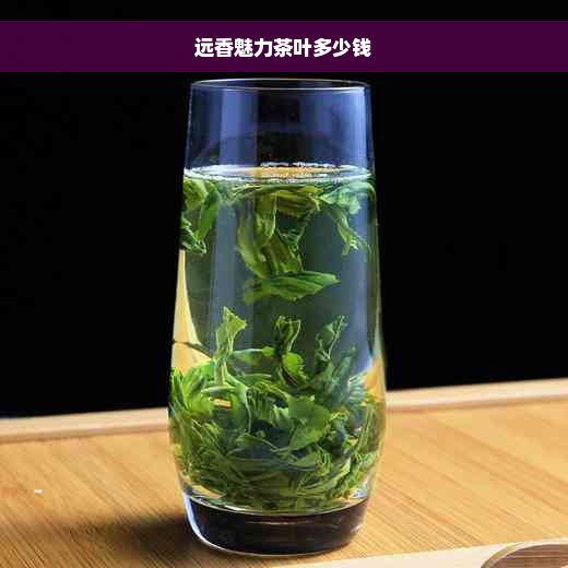 远香魅力茶叶多少钱