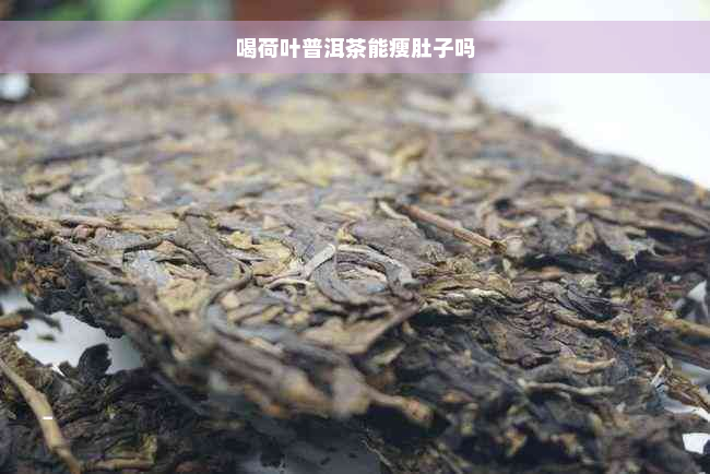 喝荷叶普洱茶能瘦肚子吗