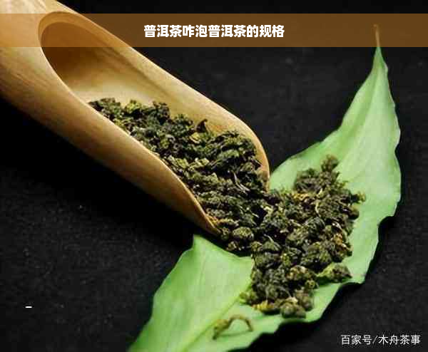 普洱茶咋泡普洱茶的规格