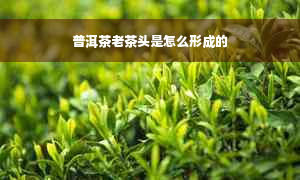 普洱茶老茶头是怎么形成的