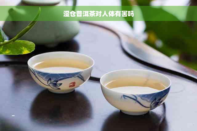 湿仓普洱茶对人体有害吗