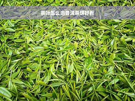 茶叶怎么泡普洱茶饼好看