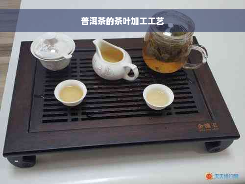 普洱茶的茶叶加工工艺