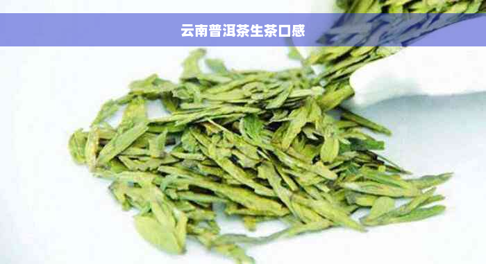 云南普洱茶生茶口感