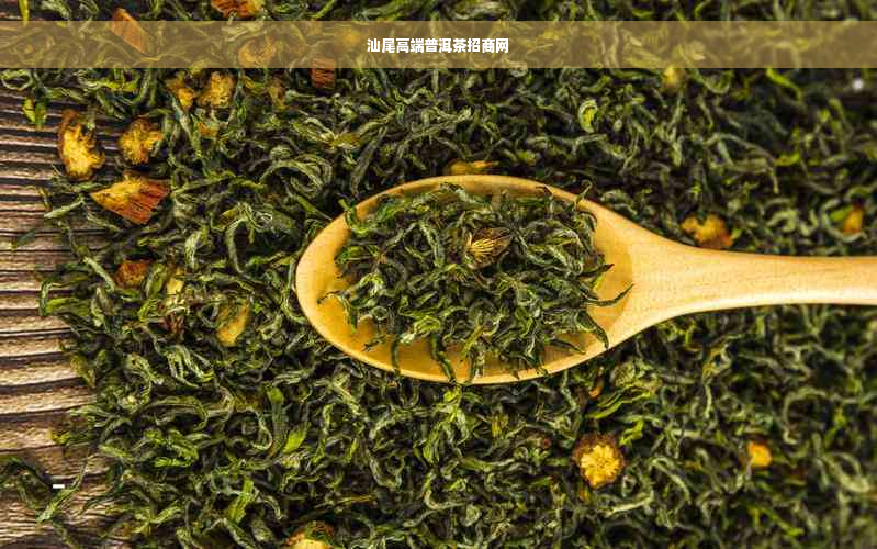 汕尾高端普洱茶招商网