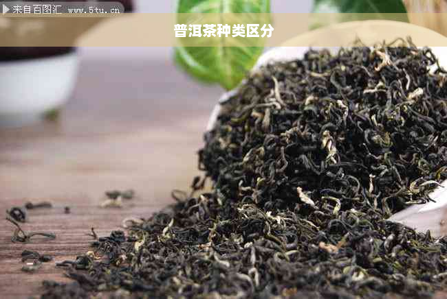 普洱茶种类区分