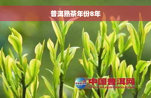 普洱熟茶年份8年