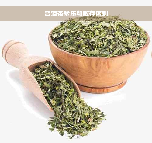 普洱茶紧压和散存区别