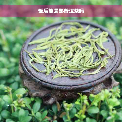 饭后能喝熟普洱茶吗