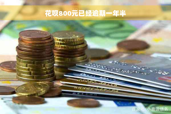 花呗800元已经逾期一年半