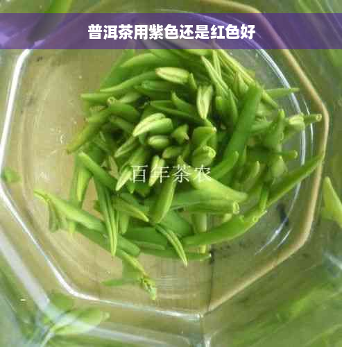 普洱茶用紫色还是红色好