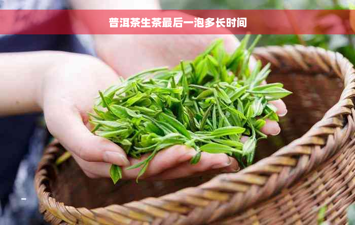 普洱茶生茶最后一泡多长时间