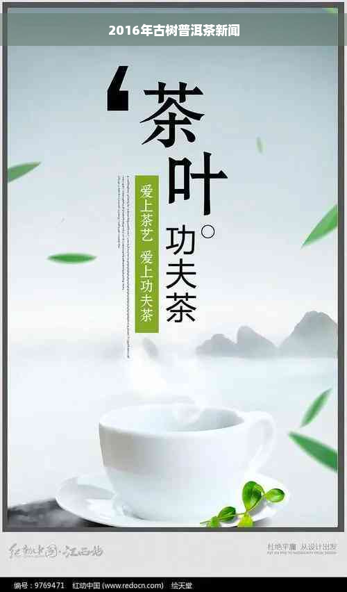 2016年古树普洱茶新闻