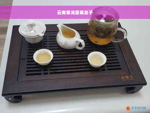 云南普洱茶菟丝子