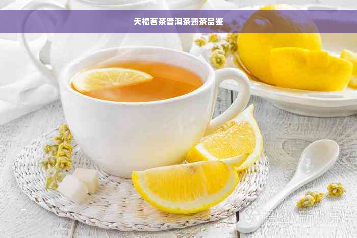 天福茗茶普洱茶熟茶品鉴