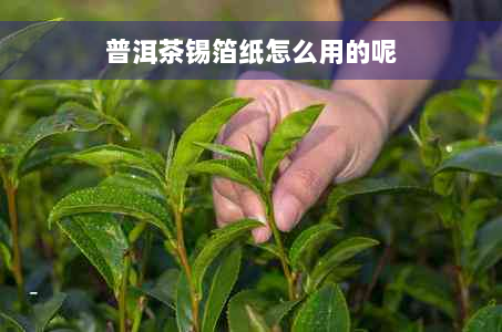 普洱茶锡箔纸怎么用的呢