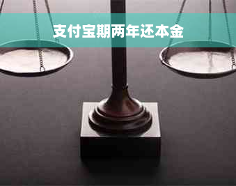 支付宝期两年还本金