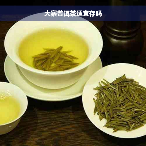 大寨普洱茶适宜存吗