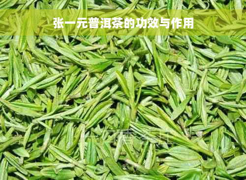 张一元普洱茶的功效与作用