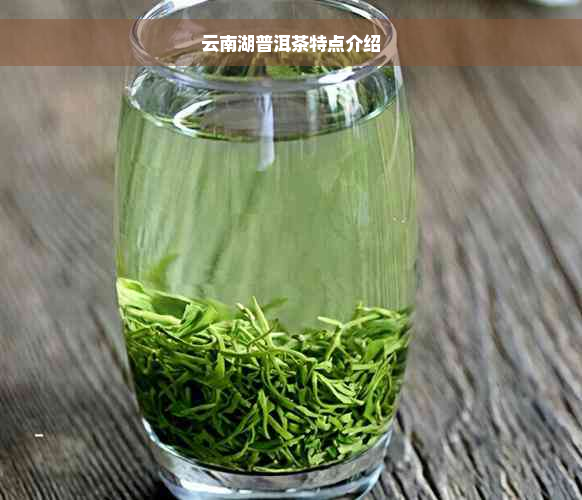 云南湖普洱茶特点介绍