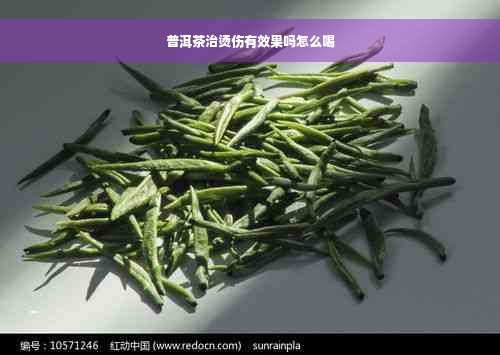 普洱茶治烫伤有效果吗怎么喝