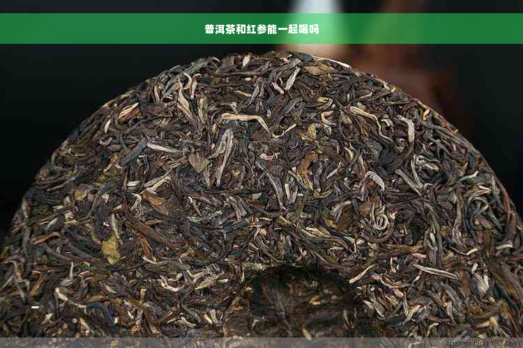 普洱茶和红参能一起喝吗