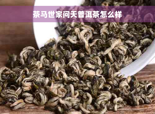 茶马世家问天普洱茶怎么样