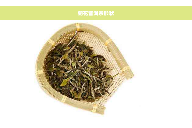 菊花普洱茶形状