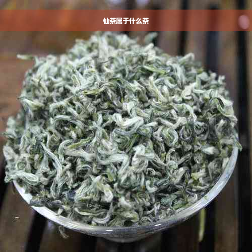 仙茶属于什么茶