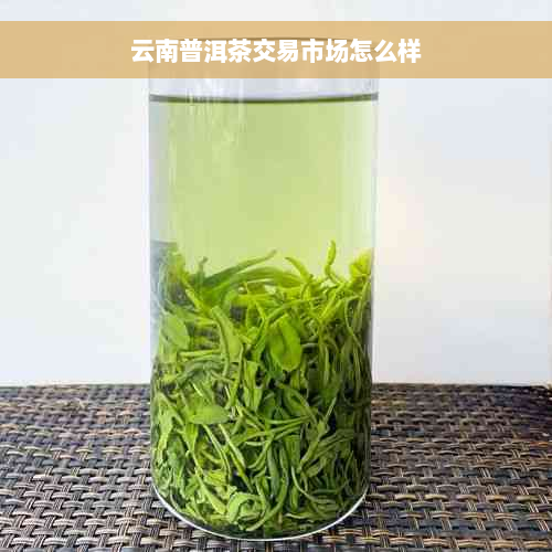 云南普洱茶交易市场怎么样