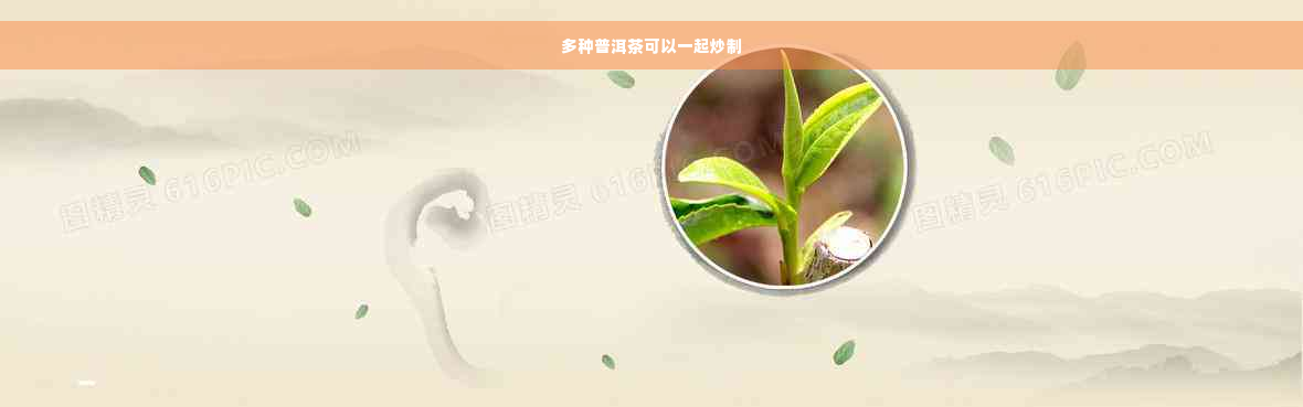 多种普洱茶可以一起炒制