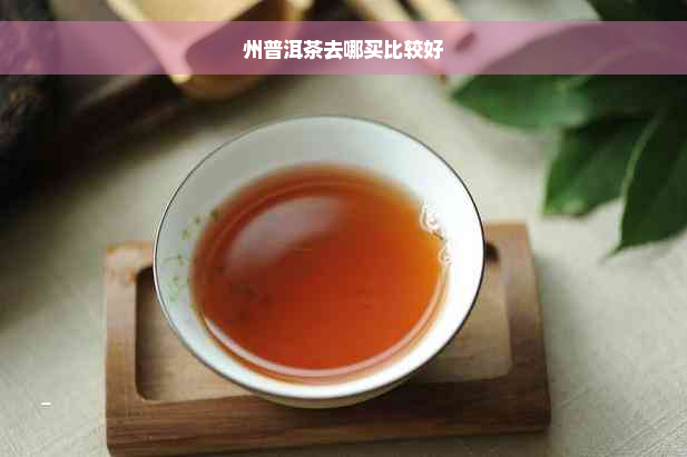 州普洱茶去哪买比较好