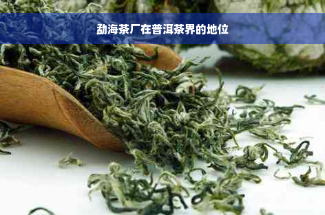 勐海茶厂在普洱茶界的地位