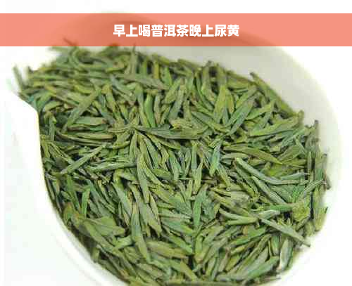 早上喝普洱茶晚上尿黄