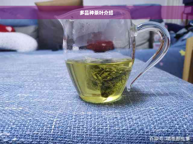 多品种茶叶介绍