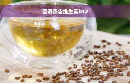 普洱茶含维生素b12