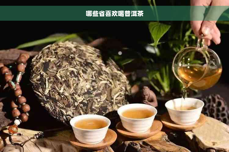 哪些省喜欢喝普洱茶