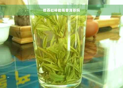 吃西红柿能喝普洱茶吗