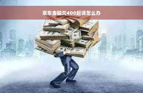 京东金融欠400起诉怎么办