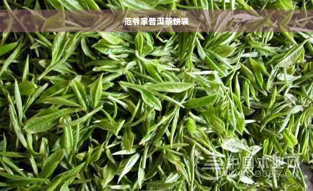 范爷家普洱茶饼袋