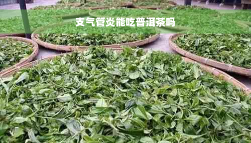 支气管炎能吃普洱茶吗