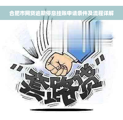 合肥市网贷逾期停息挂账申请条件及流程详解