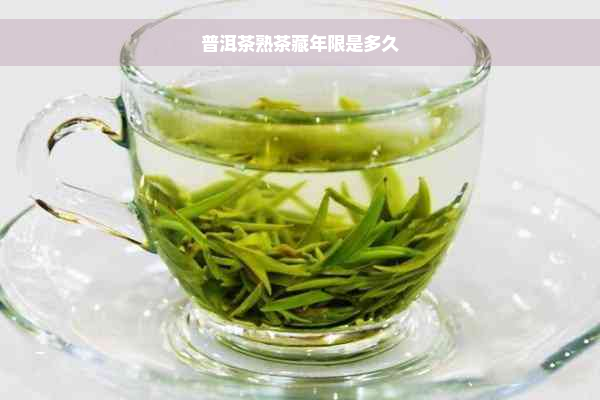 普洱茶熟茶藏年限是多久