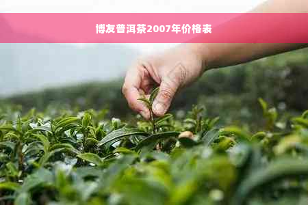 博友普洱茶2007年价格表