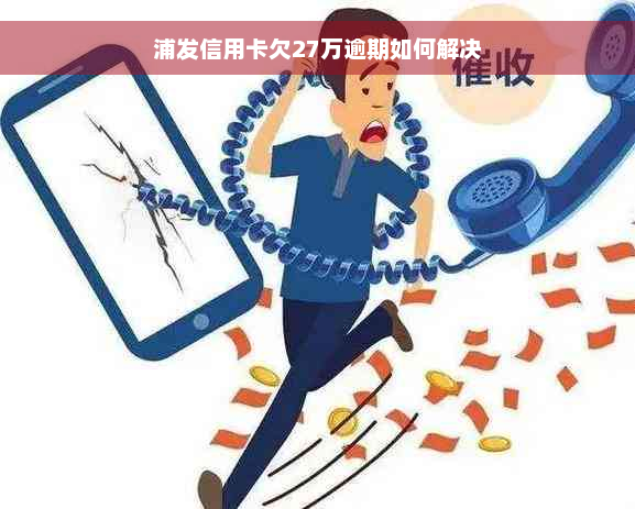 浦发信用卡欠27万逾期如何解决